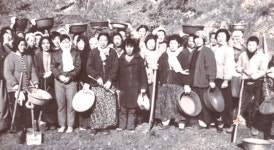 [마을아카이브 ⑦] 당진2동 용연1통  용이 오른 물길 따라, 스스로 일군 협동의 마을
