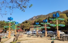 월악산 등 국립공원 3곳, 탄소중립 야영장 시범 운영