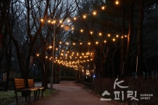 빛 속에서 힐링하다, 대청골 빛 예술제