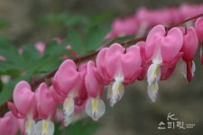 천년사찰 봉원사에 담긴 역사를 따라