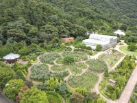 무궁화가 가장 아름다운 곳 전남 장성 무궁화공원