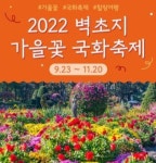 가을꽃의 화려한 자태 감상하며 힐링하세요!