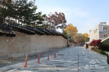 가을의 절정을 지나는 덕수궁 돌담길 따라 ‘고종의 길’을 가다