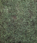 신진작가 7인이 각자 키운 꽃, 《신진작가 공모 선정전: 지금, 바로 여기 Here and now》