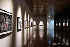 인간과 자연의 공존 그리고 철학적 사유,《조화: 마르친 리체크 사진전》