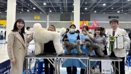 서정대학교 HiVE사업 선정 반려동물과, 전국 애견미용콘테스트에서 동상 수상