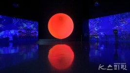 세계 최대 1,700평 규모의 아르떼뮤지엄 부산 개관!