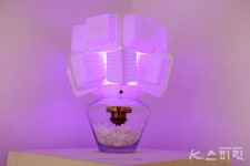 쓸모를 잃어버리거나 버려지는 것에 새로운 가치를,《업사이클 아트》