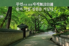 고요한 왕의 정원 창덕궁 후원을 거닐며 맞이하는 아침