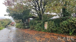 황금들판 내리는 가을비에 서둘러 여문 곡식을 거둔다