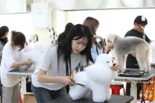 서정대학교 반려동물과, 반려동물 전문가 양성 선도