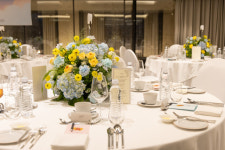 노블레스 결혼정보회사 디노블의 특별한 인연을 위한 미팅 파티에 관심 집중