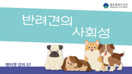 “반려동물 문화강좌 영상으로 만나요”