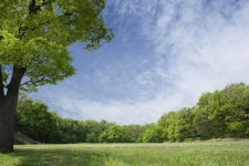 광주시, 미세먼지 차단·도시바람길 등 도시 숲 30곳 조성