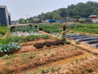 광주 본량농협, 주말농장 90구획 선착순 분양