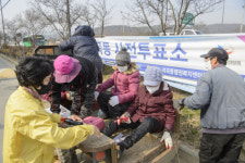 [사진 뉴스]경운기 타고 사전투표