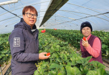 ‘딸기체험농장으로 억대 소득’  청년농부 임동만씨 “힐링·체험의 농촌융복합 테마파크 만들겠다”