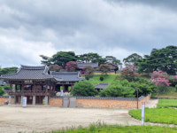 [함양 남계서원] 솔향 타고 흐르는 비운의 선비 정여창의 꿋꿋한 단심
