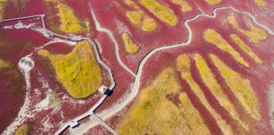 1도 1뮤지엄·사계절 꽃피는 1004섬…별천지가 따로 없네