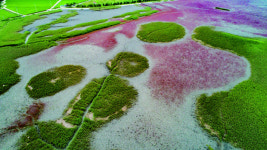 탄소중립 실천 순천 ‘축구장 294개 면적’ 갯벌 복원한다