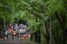 [오늘의포토] 너릿재 옛길 달리는 달림이들