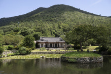 [굿모닝 예향] 운림산방 구름숲, 수묵비엔날레 묵향... 진도에 스며든다