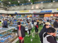 오픈런·품절…주말 수산물 할인판매 광주가 들썩