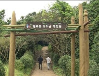 지자체들 지방소멸 위기 돌파 ‘유아숲’으로 양육환경 만든다
