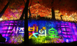[광주일보 사진뉴스] 양림동 ‘사직 빛의 숲’에서 일상 속 힐링