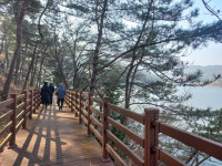 쉬엄쉬엄 걸으니 어느덧 십 리…보성 오봉산 생태길