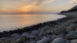 [굿모닝 예향] 분청사기·거금 생태숲·우주발사…고흥을 체험하다