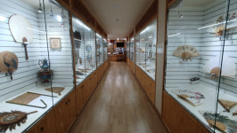 [박물관 기행] 부챗살 너머 ‘레트로 감성’을 찾다…전주부채박물관