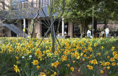 [굿모닝예향] “도심 속 숲, 일상 속 쉼”…광주 도시정원을 꿈꾸다