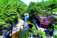 [팔도 핫플레이스] 낮에는 풀빛 밤에는 달빛 색다른 힐링…강원 동해 무릉달빛 호암소길