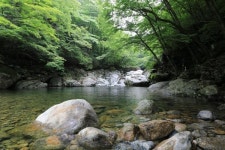 7~8월 지리산 계곡에 발 담그세요