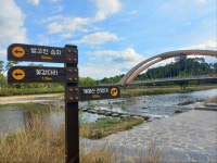 [떠벅떠벅 남도 걷기 좋은 길] 낮과 밤이 다른 ‘화순 꽃강길’의 매력