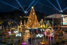 [오늘의포토] ‘함평의 밤, 빛의 향연’