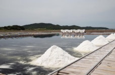 美, 신안 태평염전 소금 수입 중단…전남 농수산물 타격 우려