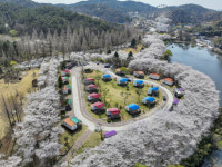 [오늘의포토] 광주 우치공원의 봄 봄 봄