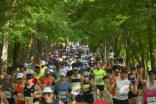 [오늘의포토] 제10회 너릿재 옛길 마라톤대회 … 초여름 싱그러운 숲길을 달리다