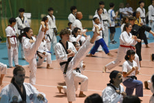 [오늘의포토] 태권도·한국 배워요