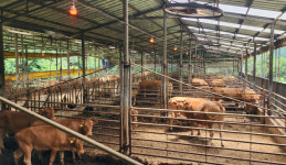 미국 관세 충격에 전남 농민이 운다