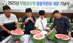 광주 대표 특산품 ‘무등산 수박’ 명맥 이어갈 수 있을까