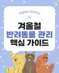 [광클] 건강부터 안전까지…겨울철 반려동물 관리 핵심 가이드