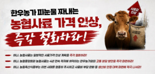 적자에 사룟값 인상…한우농가 ‘눈물’