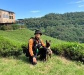 119구조견 해피 전남 보성 녹차밭 추락 자동차에서 실종자 구조