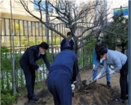 우리 청사 주변을 푸르게 … 정부청사관리본부 식목일 나무심기 행사