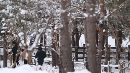 [기상속보] 퇴근길 서울 1∼5㎝ 첫눈ㆍ서울시 강설대응 1단계  발령...경기 연천, 포천, 강원도 철원, 화천, 양구 대설특보