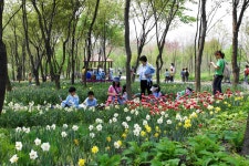 한택식물원 2018 봄꽃페스티벌 개최
