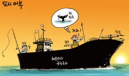 [시사TOON] 도시 어부